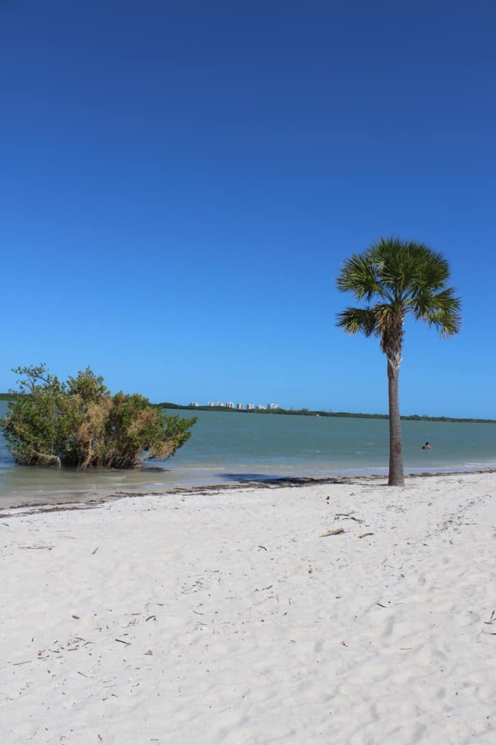 Discover Florida's Space Coast & Treasure Coast : Fort Pierce Beaches