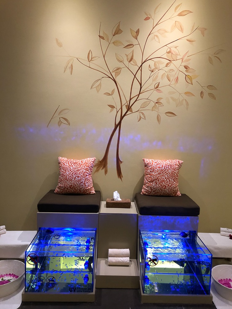 Do your feet need a bit of attention? Try the fish pedicure at Grand Velas Se Spa