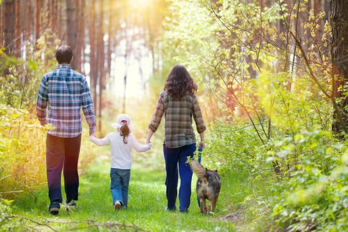 family and dog walking in the forest as a free activity