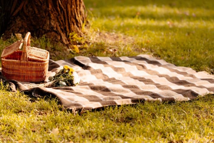 picnic blanket and basket in the park which is a great free thing to do with kids