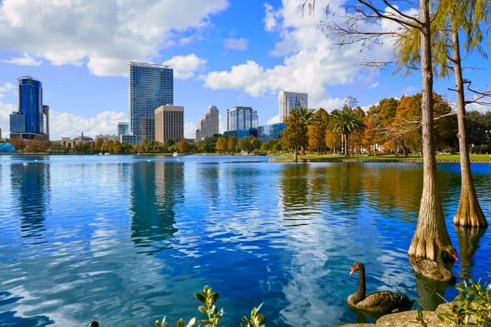 Lake Eola in Orland Florida with blue skies and a duck floating in the lake. A great place to visit during your romantic getaway in central florida