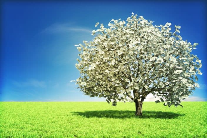money tree with blue skies and grass