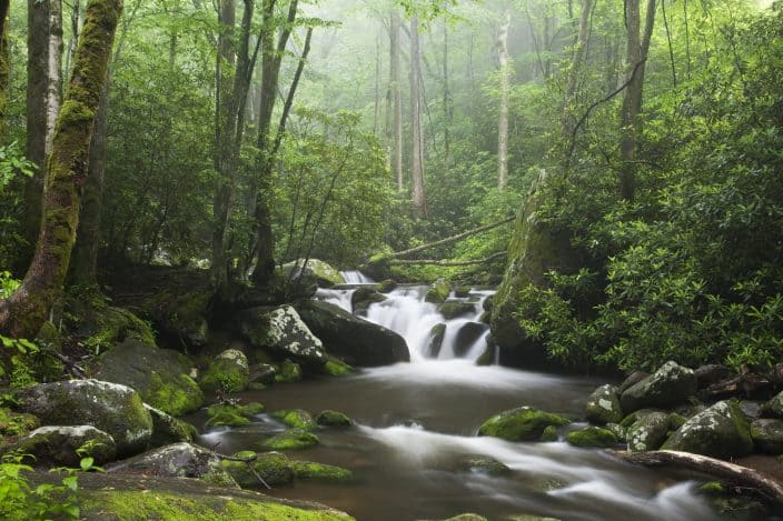 Relaxing scenic along the Roaring Fork Moter Tour in the Great Smoky Mountains National Park, a destination for a romantic getaway in Tennessee