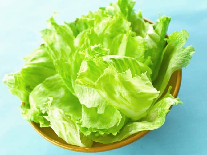lettuce in a bowl on a blue background to use in a BLT sandwich