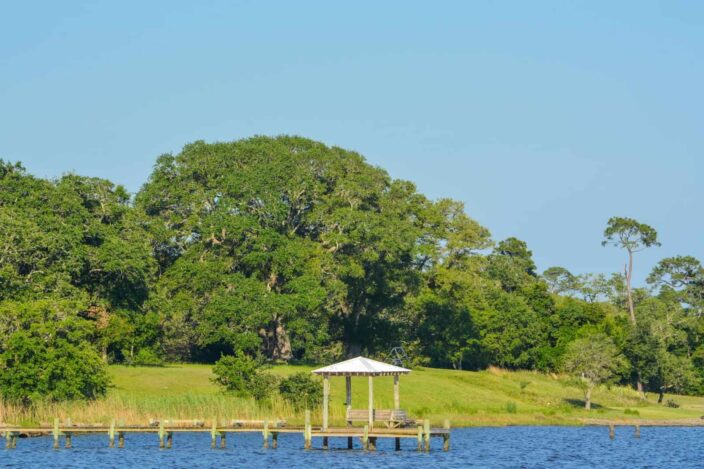 a dock with a pergola in water in Ocean Springs, with green grass and a green landscape on the shore with lots of trees