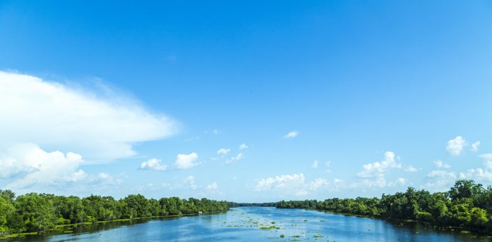 a view of the Mississippi river with bright blue skies and clouds with green trees on either side of the river with lilypads floating in it