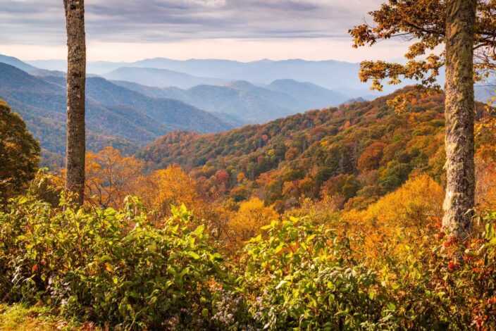 Picture of the Smoky Mountains National park overlooking hills and green trees. 