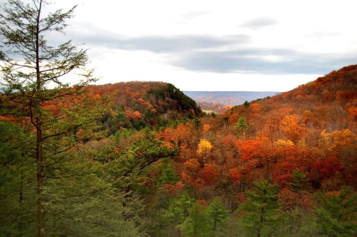  Picture of autumn hills in west Virginia with golden brown leaves, hills and trees all in one frame during daytime. 