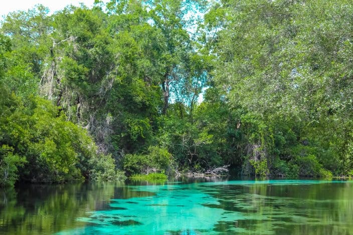 Weeki Wachee Springs River with blues and greens, a day trip from Orlando