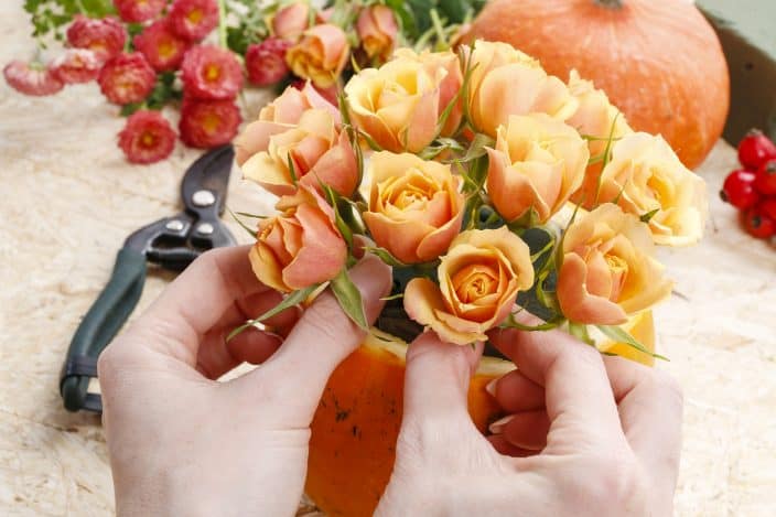 a woman's hands making a center piece with a pumpkin and orange spray roses with red berries, flower shears and pink flowers in the background on a counter top, an example of things to do in fall