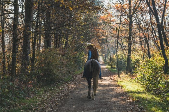 a woman riding a horse with a cowboy hat on, a blue shirt and blue jeans through a forest with fall foliage on the trees, an example of things to do in fall