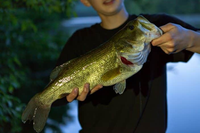 You never know - maybe you'll catch a prize winner at West Point Lake.