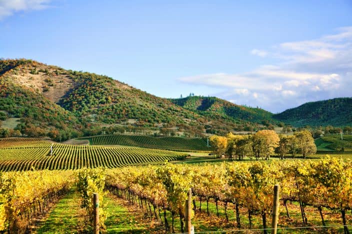 blue ridge mountains in the background of Virginia winery