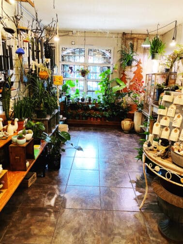 The inside of the garden and home store, Papilio