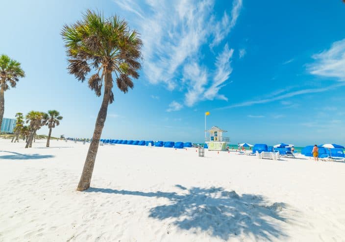 Clearwater's white sand beach with palm trees and blue cabanas. This is one of the top spots to vacation in Florida