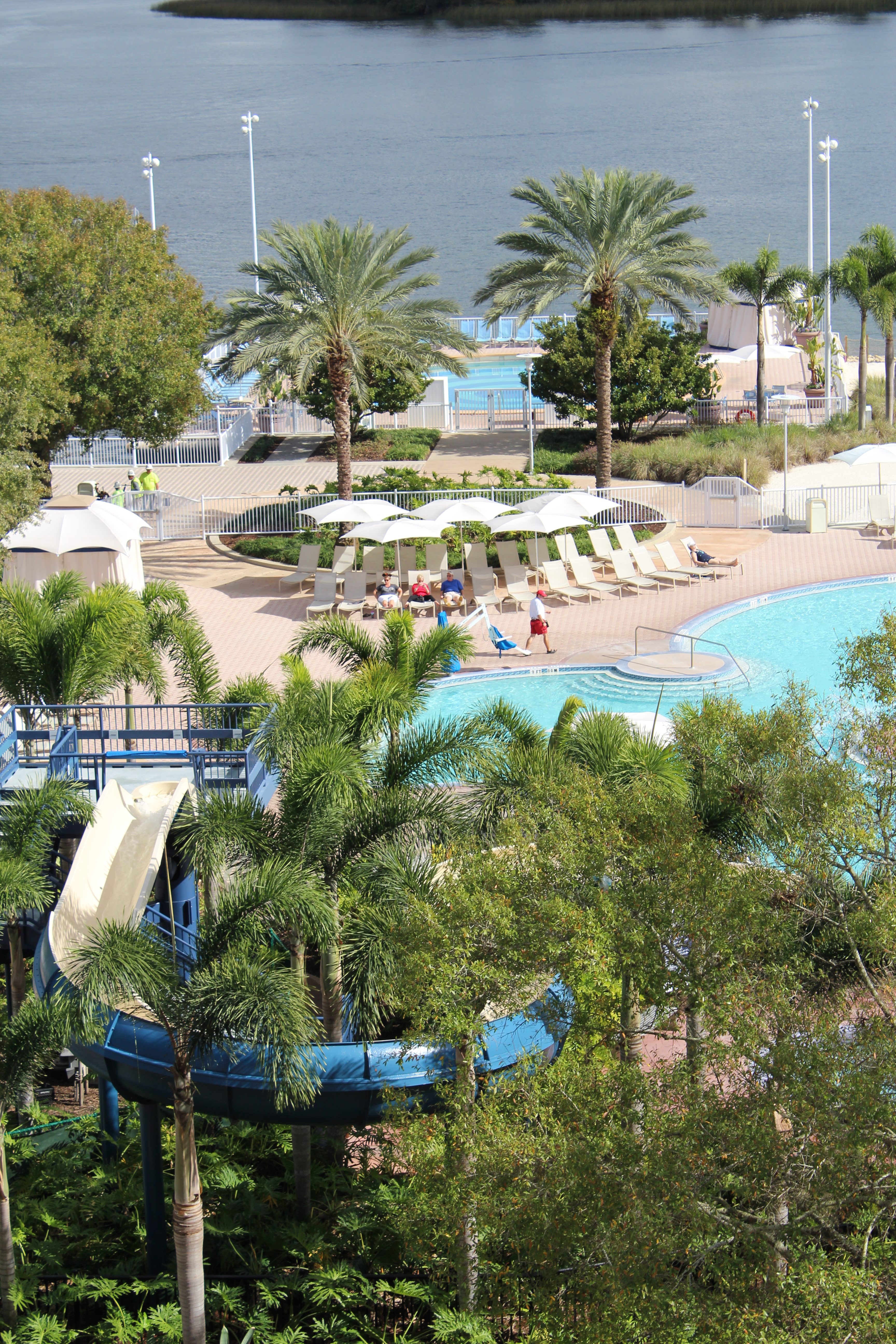 Disney Contemporary Resort's Pool area