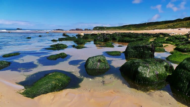 In Search of the Perfect Beach....Ireland