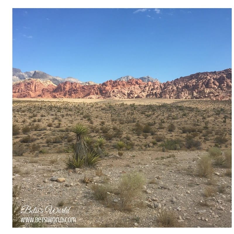 red rock canyon from las vegas strip