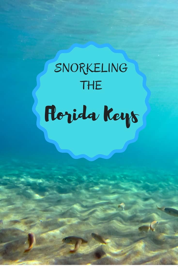 SnorkelingThe Florida Keys http://BetsiWorld.com//snorkeling-dry-r…the-florida-keys/