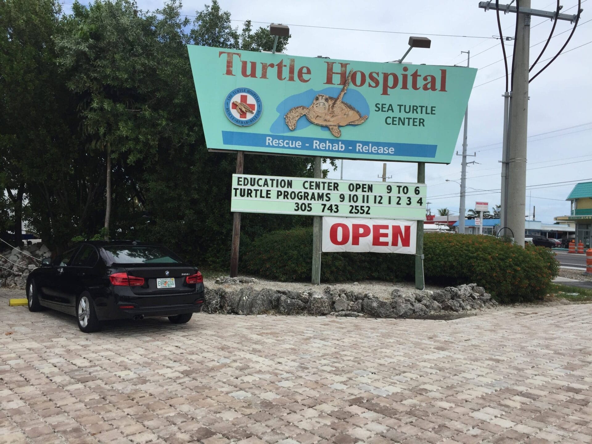 Marathon Florida is home to the Turtle Hospital. Here injured sea turtles are rehabbed, and released.