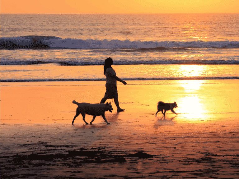 Flagler Beach on Florida's East coast offers fun, sun, relaxation and more