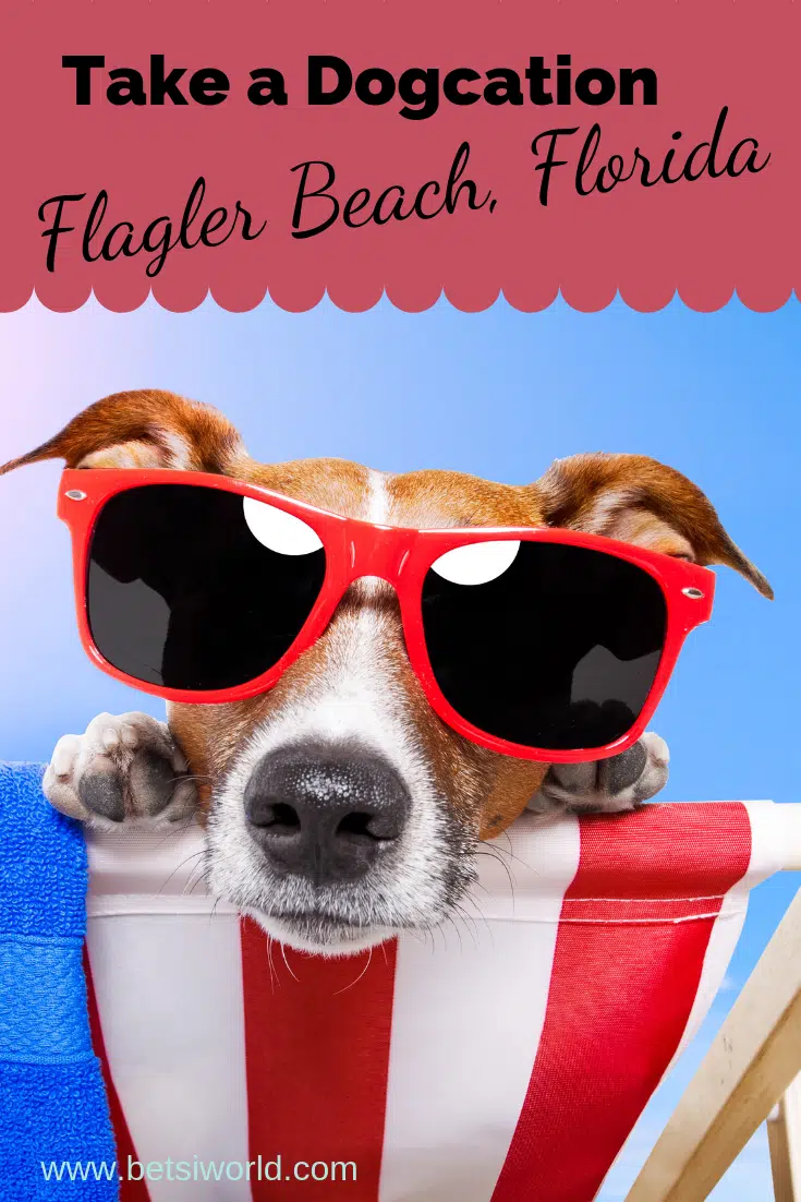 Getaway to Flagler Beach, dog wearing sunglasses and sitting in a red and white striped beach chair