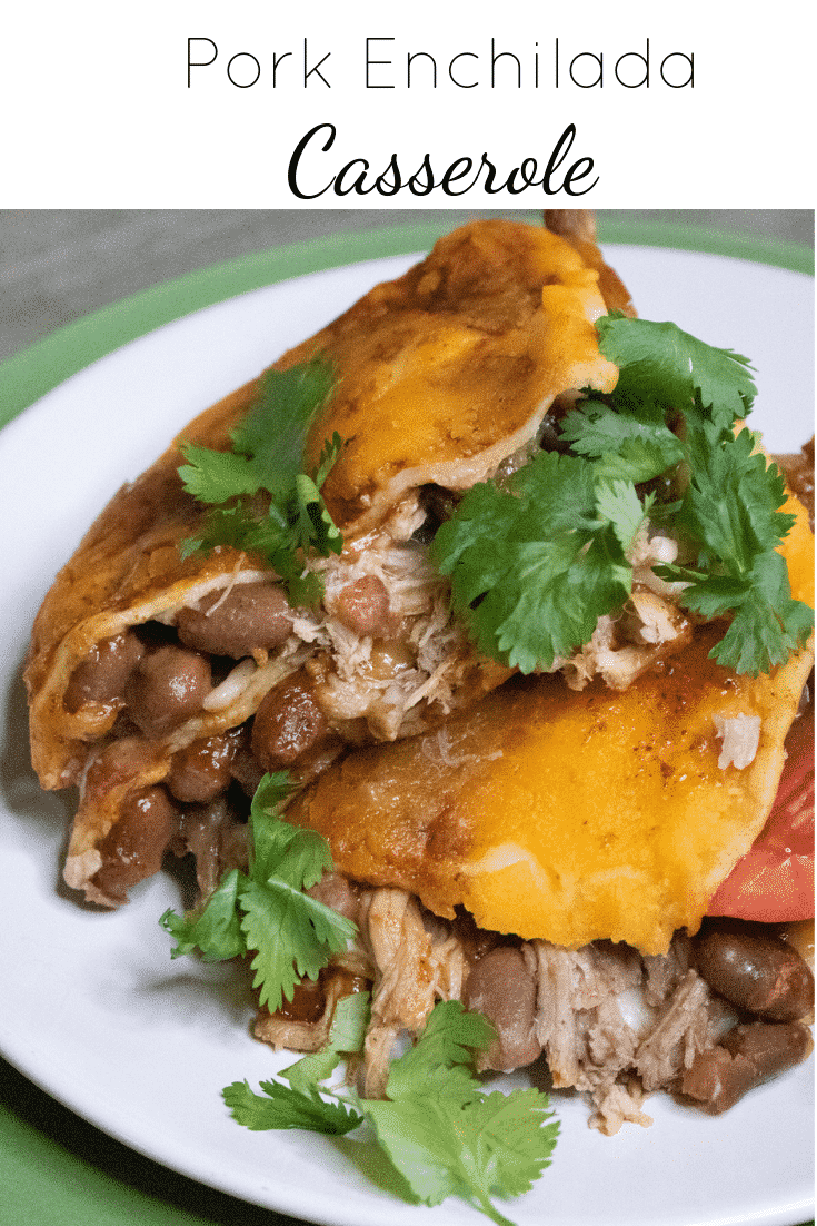 Best Pork Enchilada Casserole Betsi Hill Travel