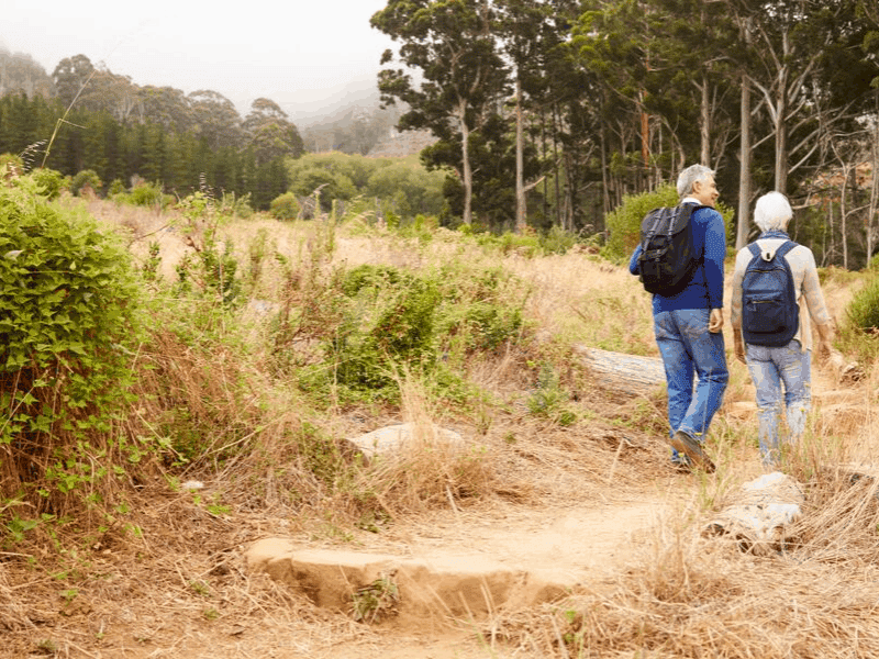 couple hiking in woods