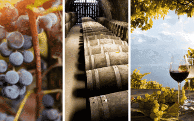 Romantic Virginia Wine Country Getaways for Two