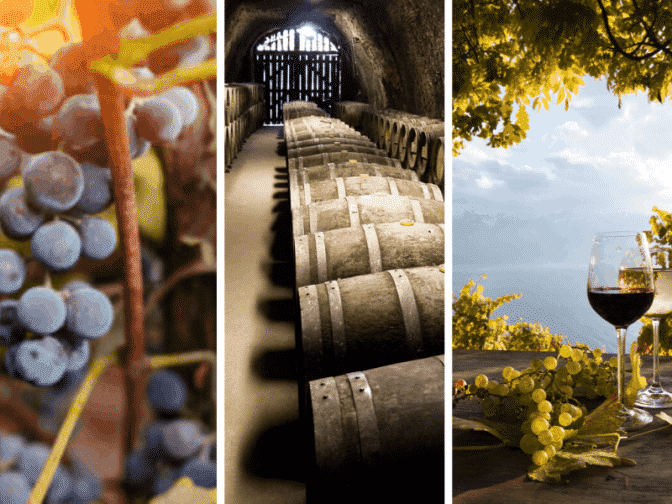 wineries in virginia image with grapes on one side barrels in the center and a glass of wine on the right with the background of the winery