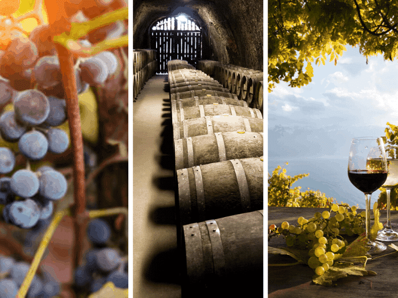 Best Virginia Wineries To Visit