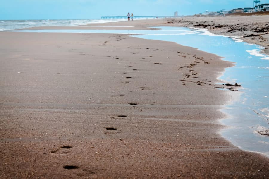 the beach with water and blue skies