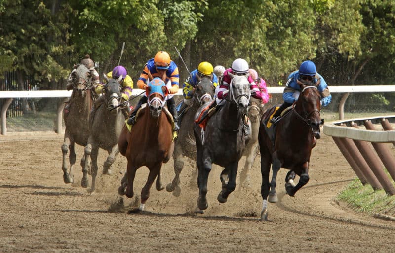 horse racing in kentucky, a fun activity to do during your getaway