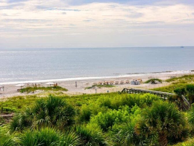 beach with scrub bushes and umbrellas