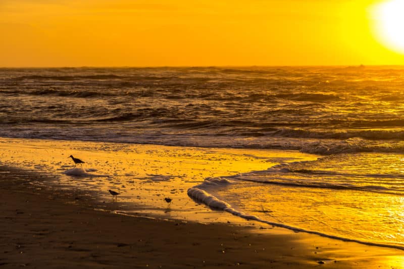 the sunrise at the beach on Amelia Island