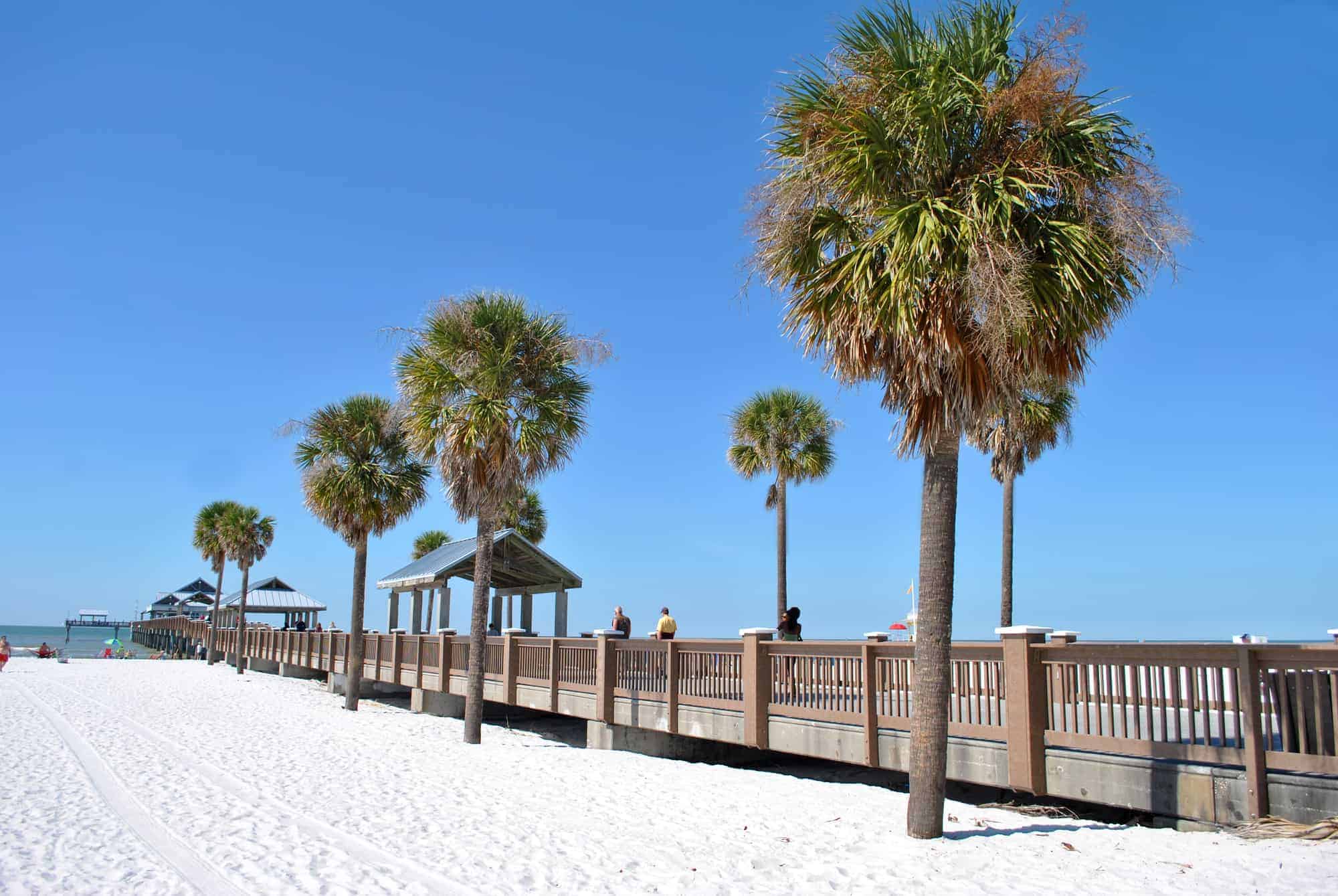 Palmtrees line a beach walkway