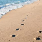 footprints on an empty beach