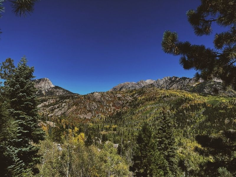 A deep indigo sky with mountains covered in green foliage and huge evergreen trees. Getting in the fresh air, experiencing nature is what Colorado hiking is all about. These 7 top family-friendly Colorado hiking spots will fuel your desire to hit the trails ASAP