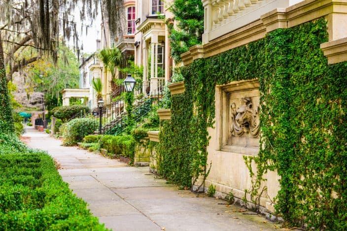 Savannah, Georgia, USA historic downtown sidewalks and rowhouses covered in green vines.