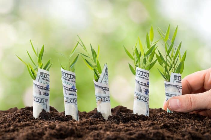 Close-up Of Person's Hand Planting Saplings Covered With American Dollars. Avoid these financial mistakes for financial health.