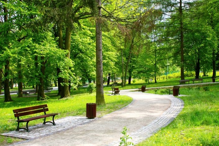 Beautiful Spring Park where you can walk and explore during your staycation at home