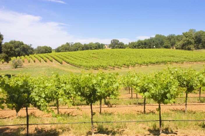 virginia vineyard with hills and blue skies