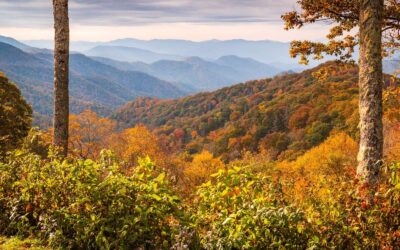 Romantic Mountain Getaways In The South