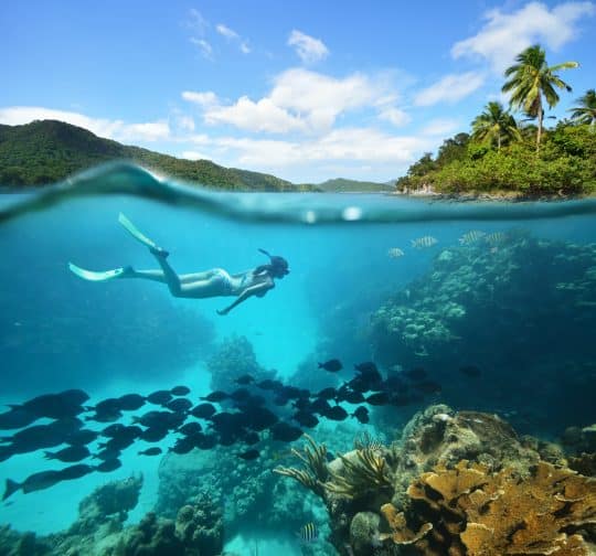 women deep diving in the sea with palm trees, blue water, fishes, and coral reefs all in one frame. 