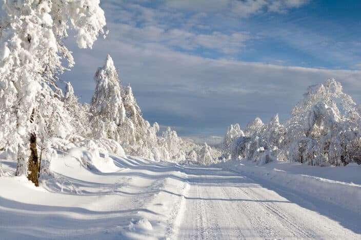a snow covered road and trees, an example of winter road trip