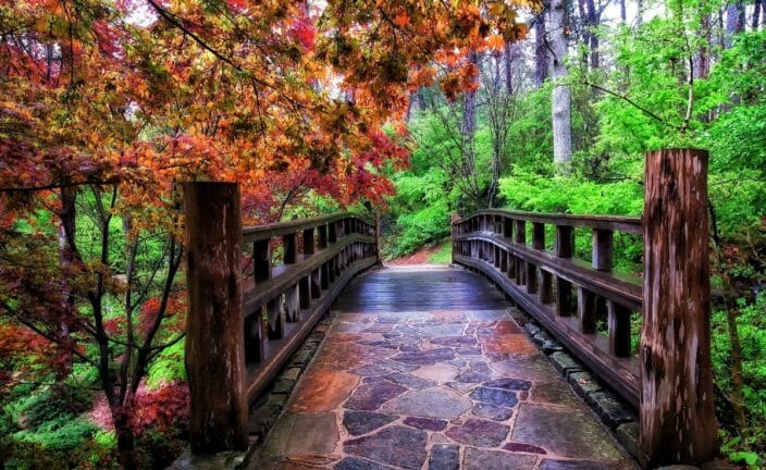 Garvan Woodland Gardens with a wooden bridge and trees all around it, an example of what to do during your romantic getaway Arkansas