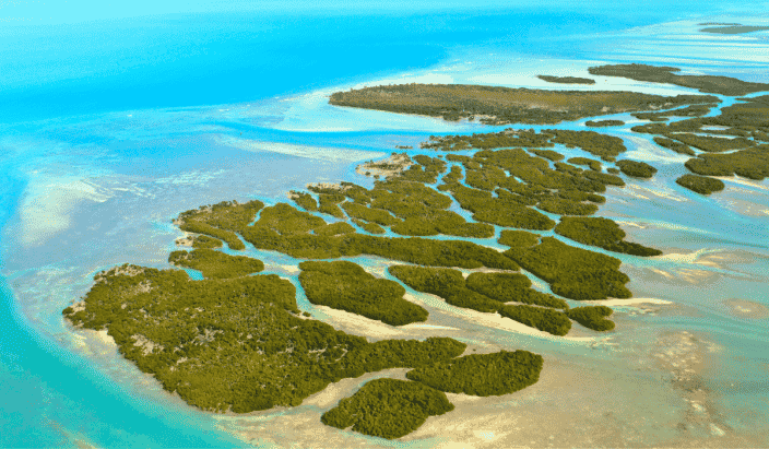 an aerial view of the Florida Keys