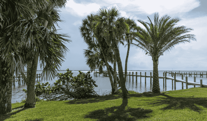 The Indian River with 3 piers and palm trees on the banks with green grass 