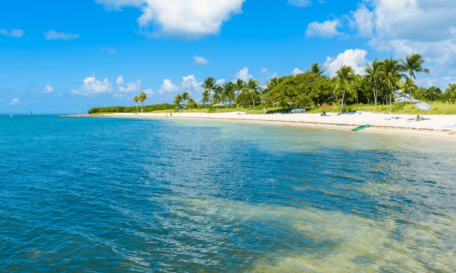 Sombrero Reef in Marathon with blue water, blue skies, palm trees, and white sand beaches, a place for snorkeling in the florida keys
