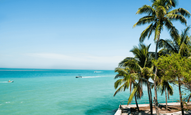 a group of palm trees, turquoise water, light blue skies and boats an ideal place in the Florida Keys for snorkeling